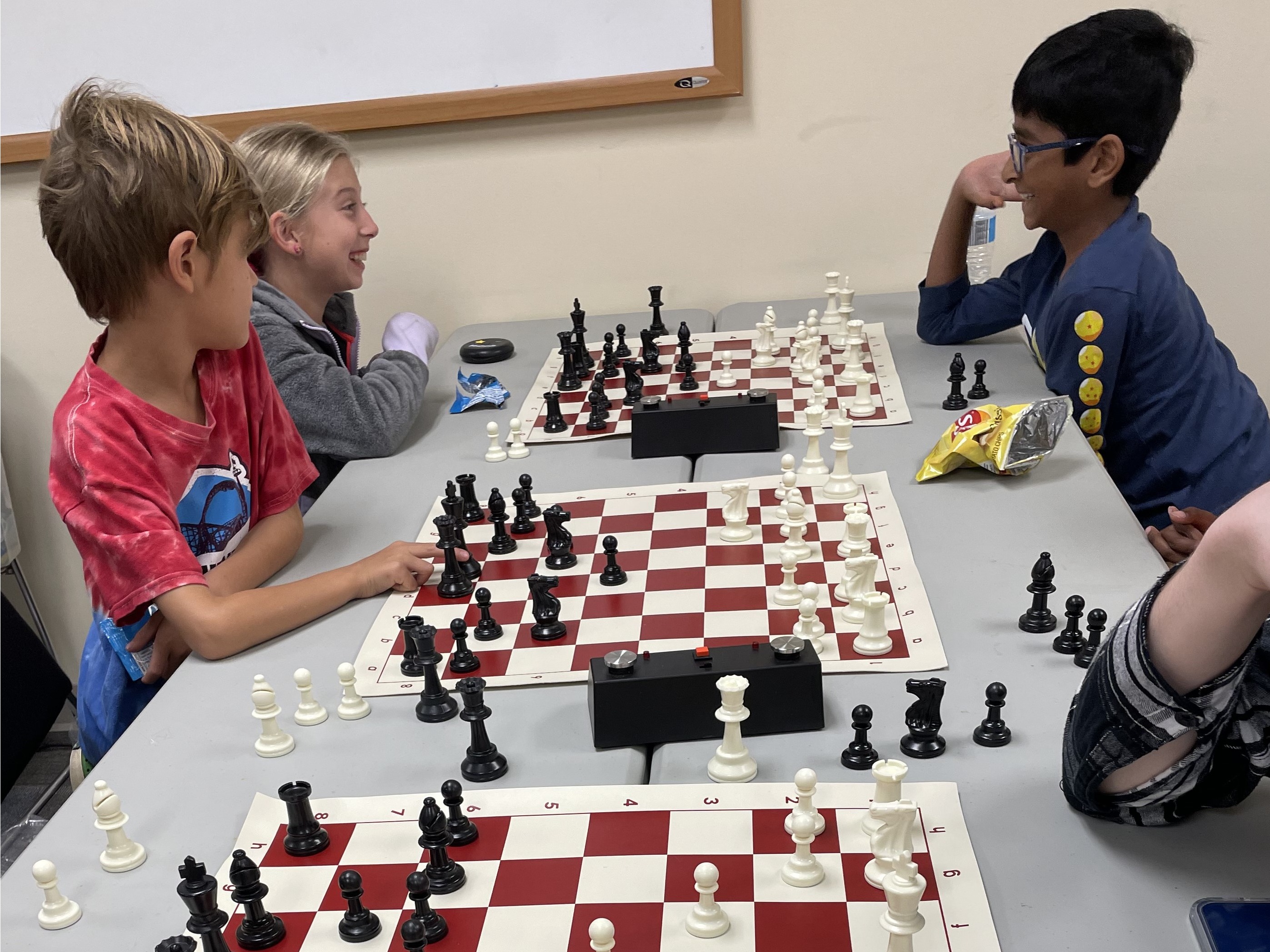 Bad Wolf Chess Lessons (individual program registration)