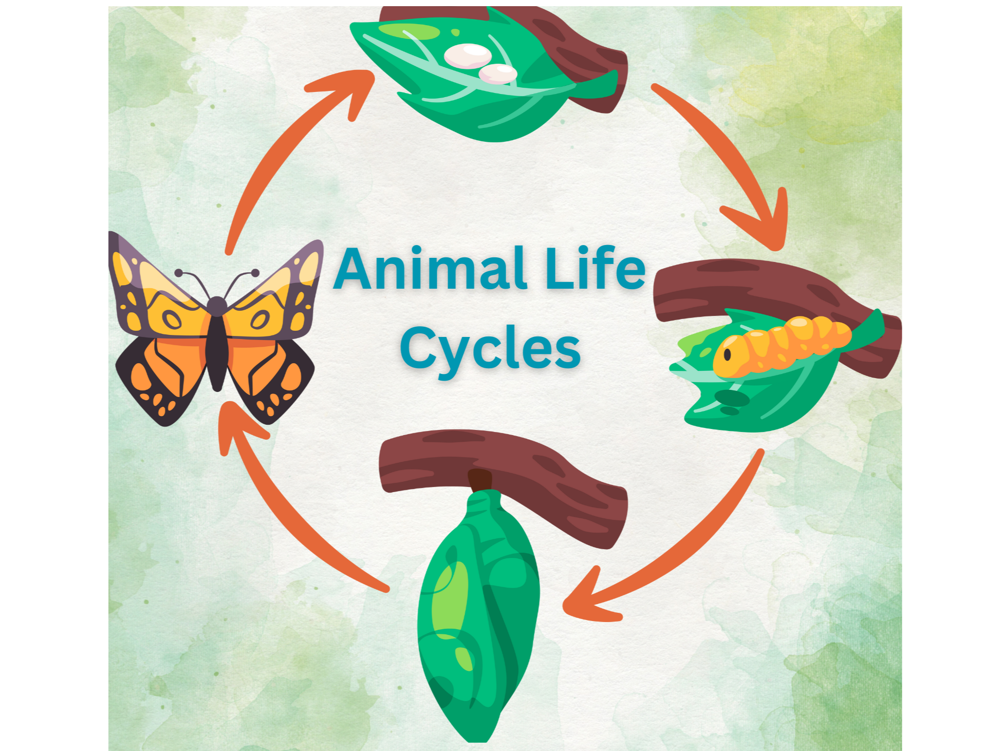 January 2025 Homeschool Programs: Characteristics of Living Things