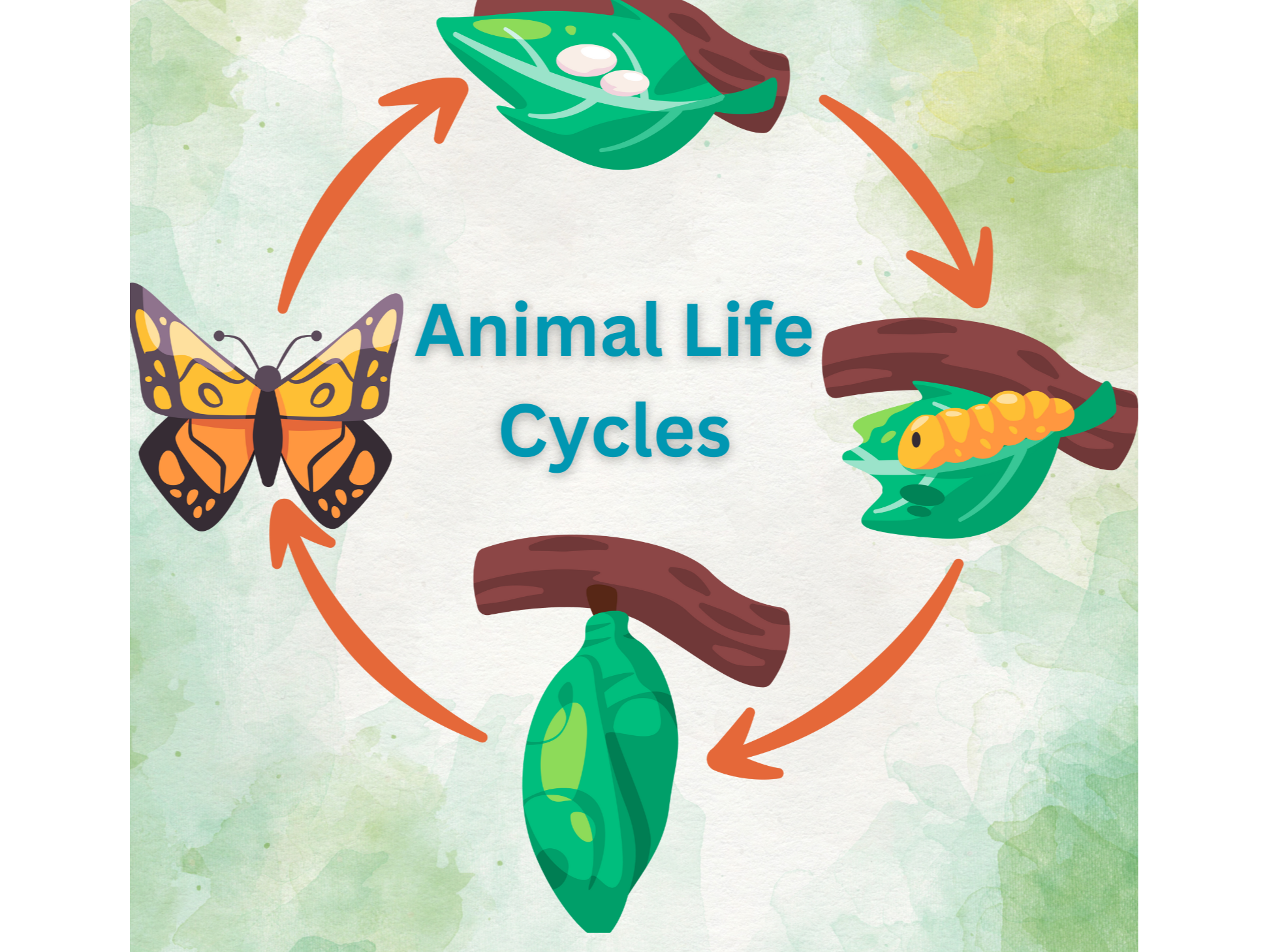 January 2025 Homeschool Programs: Characteristics of Living Things