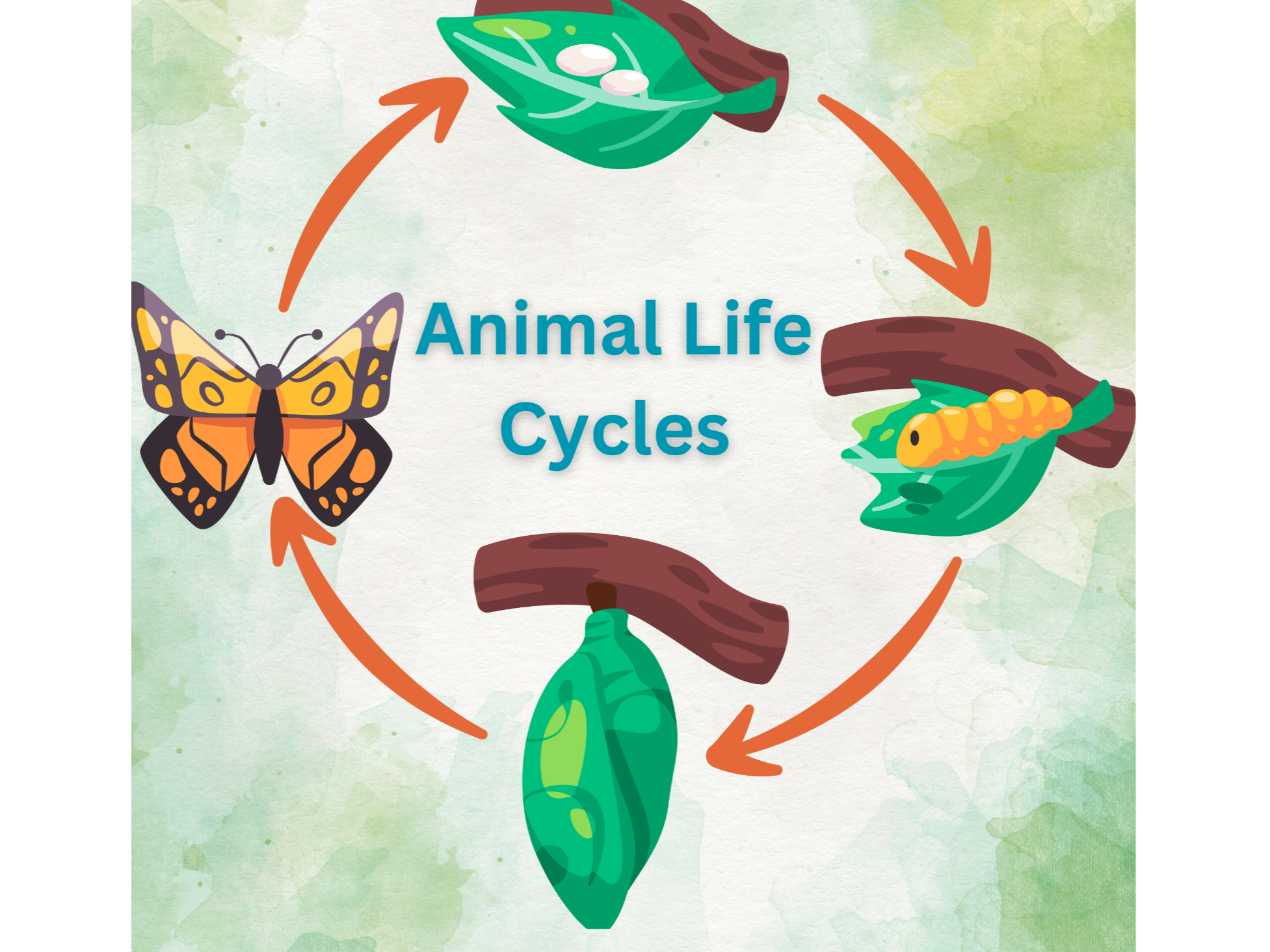 January 2025 Homeschool Programs: Characteristics of Living Things