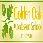 Apollo ASP - Golden Oak School