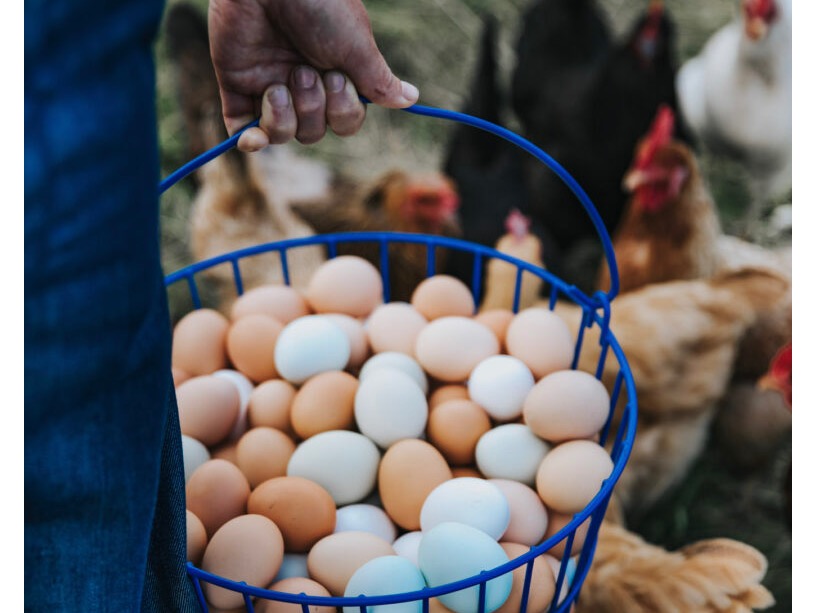 Family Programs at Rock Bottom Ranch
