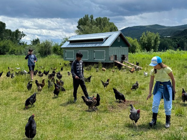 Summer Camps at Rock Bottom Ranch