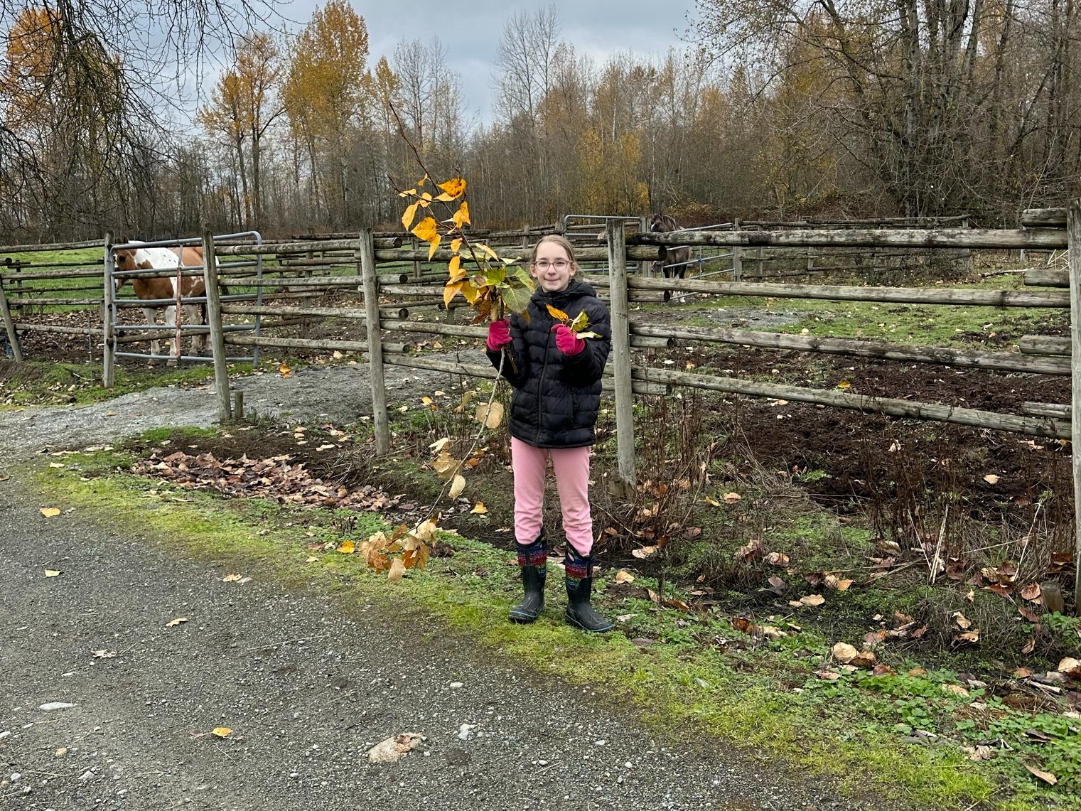 WEEKEND/EVENING EQUINE EXPERIENCE PROGRAMS FOR ALL AGES! COME CHECK OUT OUR VIBES!