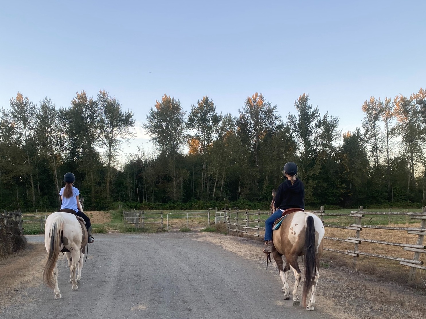 SCHOOLS OUT & WEEKEND WARRIOR CAMPS FOR THOSE WHO LOVE AN ALL DAY ADVENTURE!!