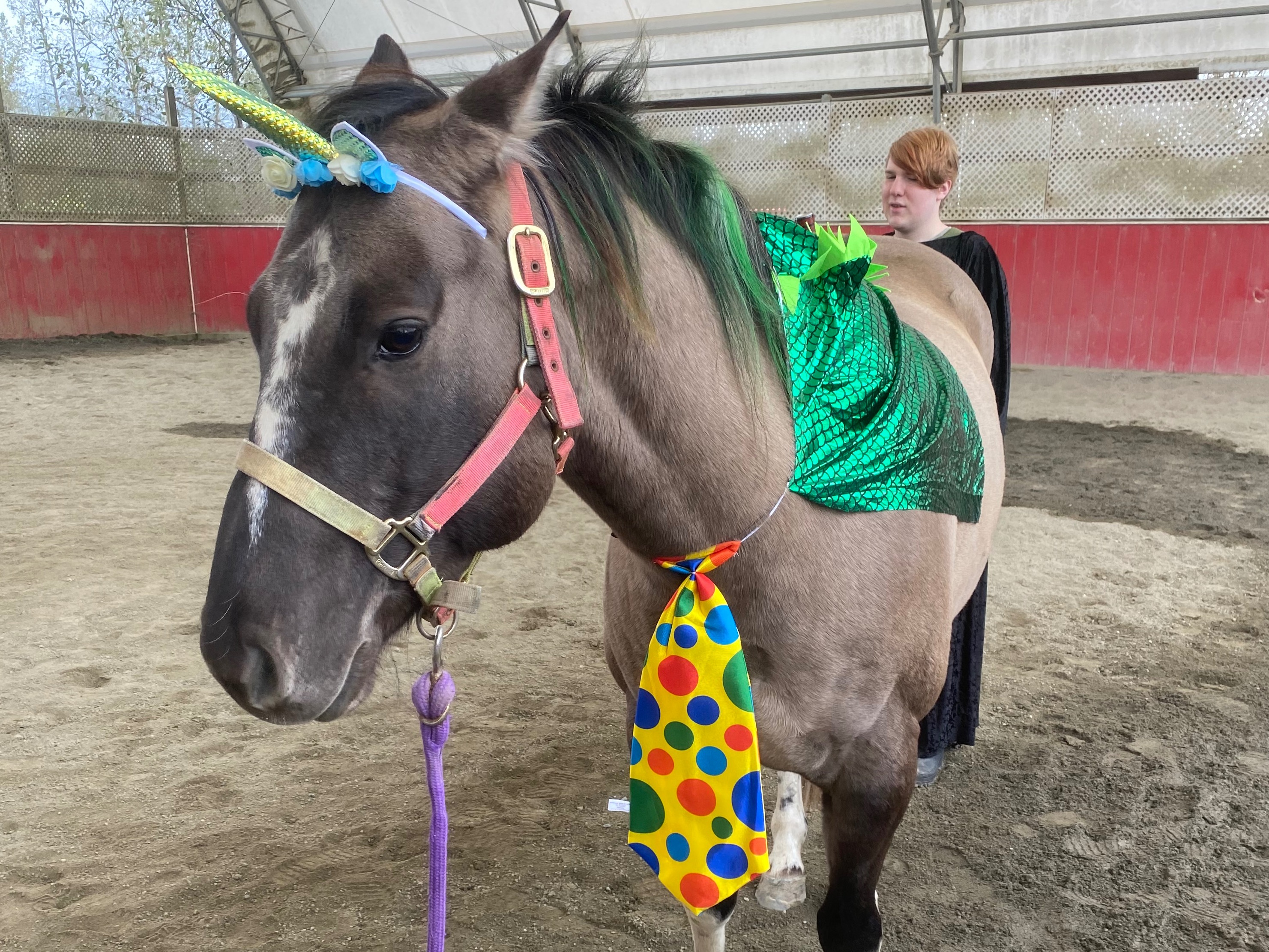 SCHOOLS OUT & WEEKEND WARRIOR CAMPS FOR THOSE WHO LOVE AN ALL DAY ADVENTURE!!