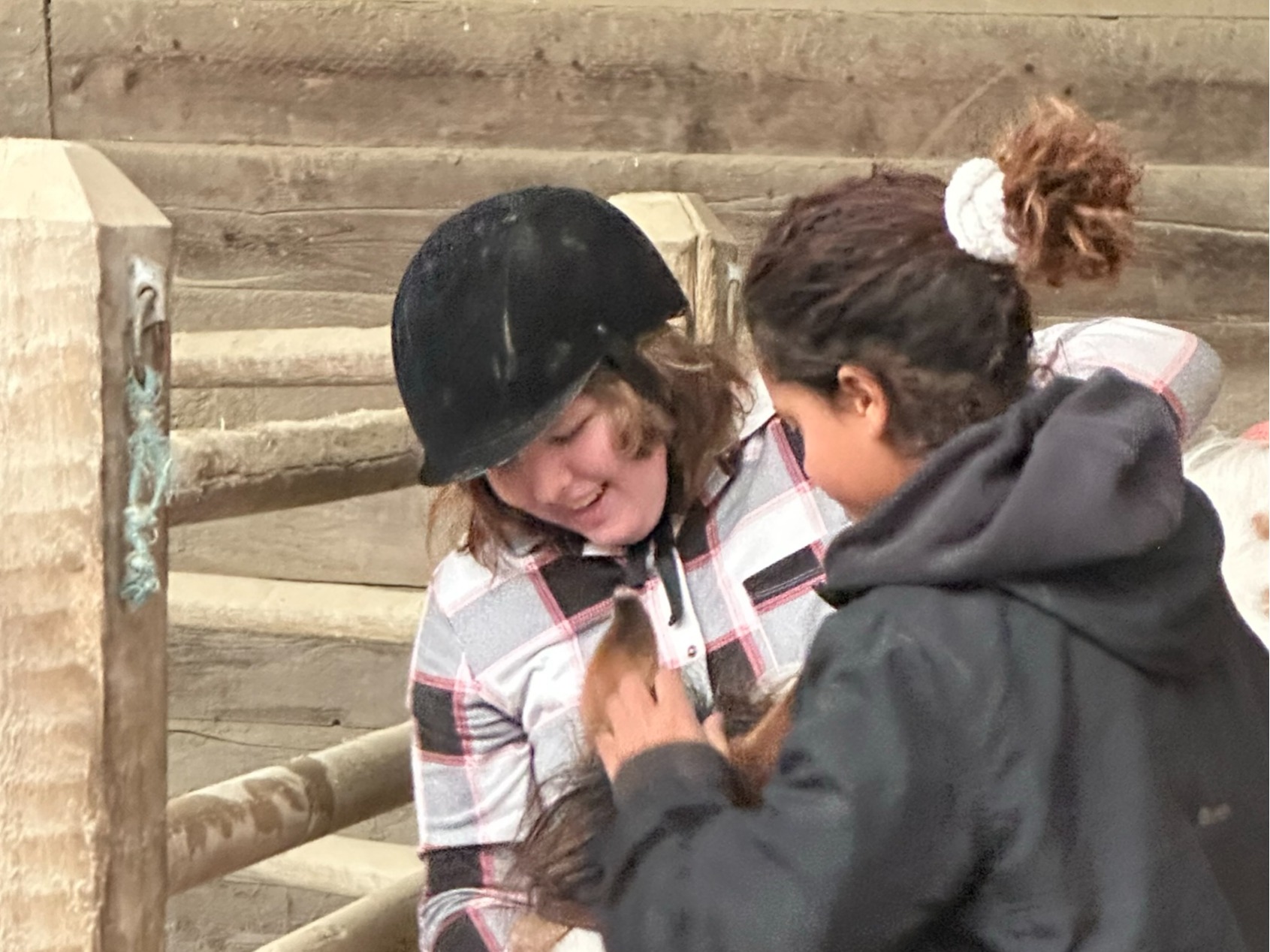 WEEKEND/EVENING EQUINE EXPERIENCE PROGRAMS FOR ALL AGES! COME CHECK OUT OUR VIBES!