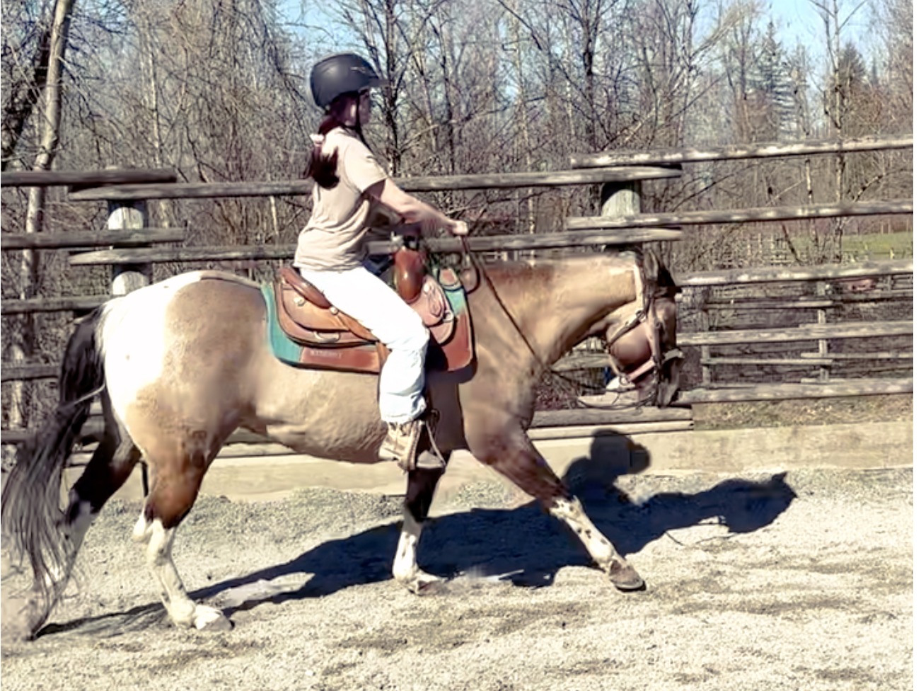 WEEKEND/EVENING EQUINE EXPERIENCE PROGRAMS FOR ALL AGES! COME CHECK OUT OUR VIBES!