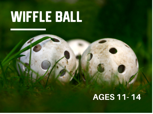 WIFFLE BALL - MARDEN FIELDHOUSE (AGES 7 - 11)