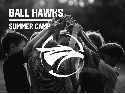 BALL HAWKS (AGES 7 - 11)