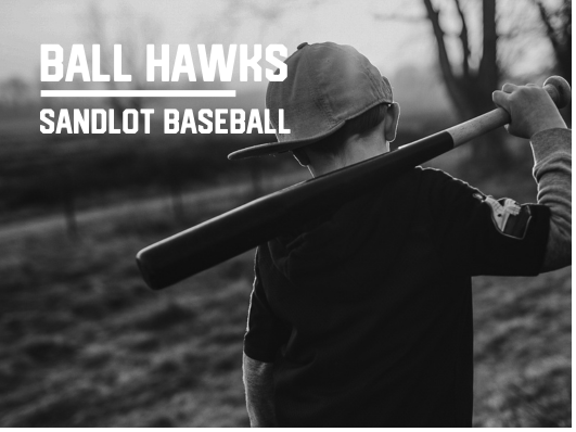 SANDLOT BASEBALL PROGRAM