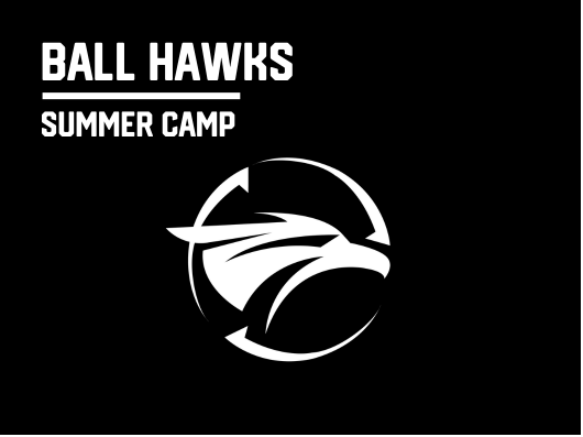 BALL HAWKS (AGES 8 - 11)