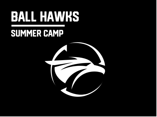 BALL HAWKS (AGES 7 - 11)