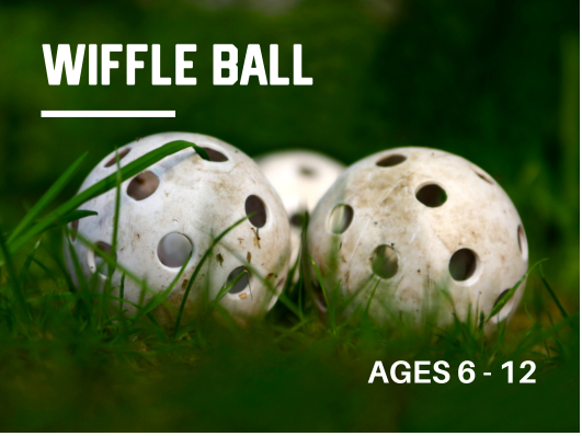 WIFFLE BALL - MARCH BREAK