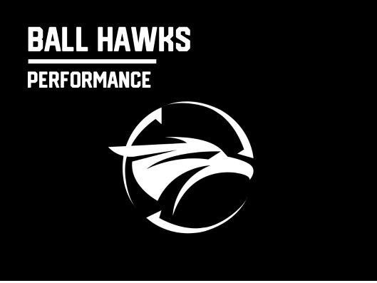 BALL HAWK - PERFORMANCE