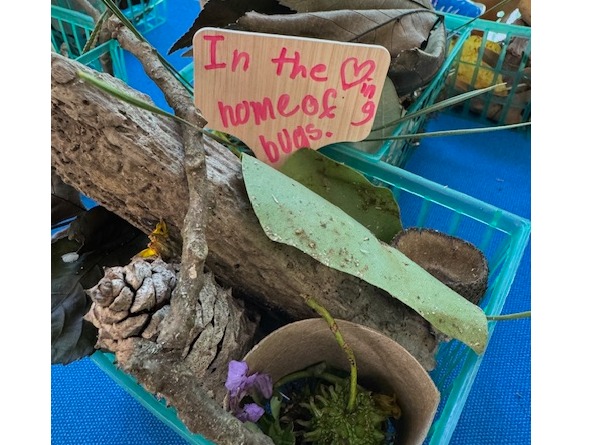 Homeschool Explorers, 2025 - 2026 School Year