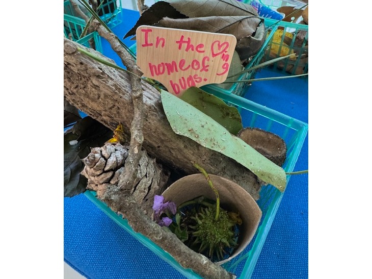 Homeschool Explorers 2026