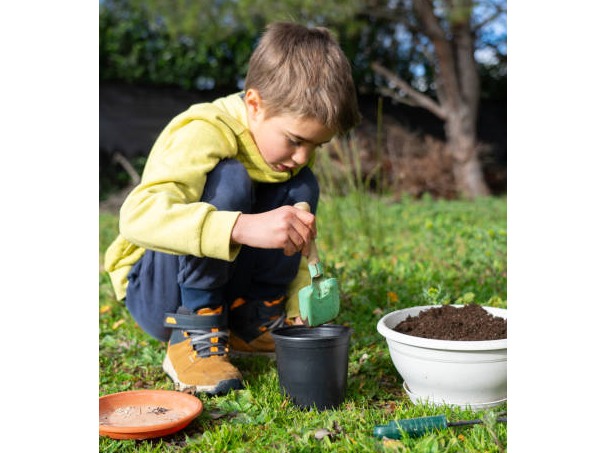 Homeschool Explorers 2026