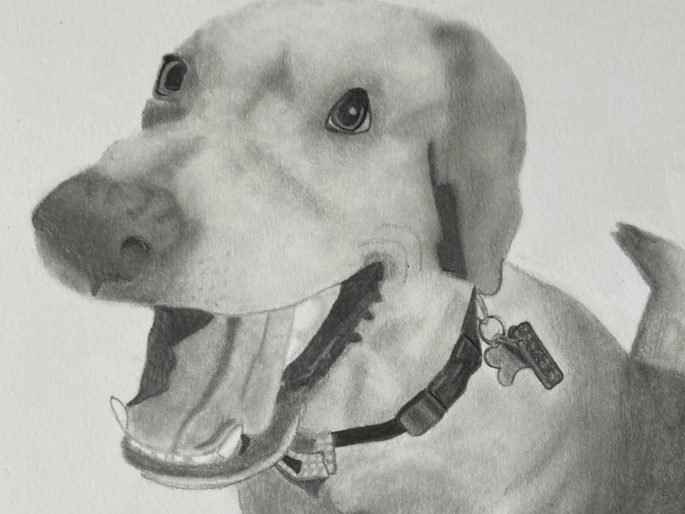 Ages 8 & up weekly art classes: July-August session