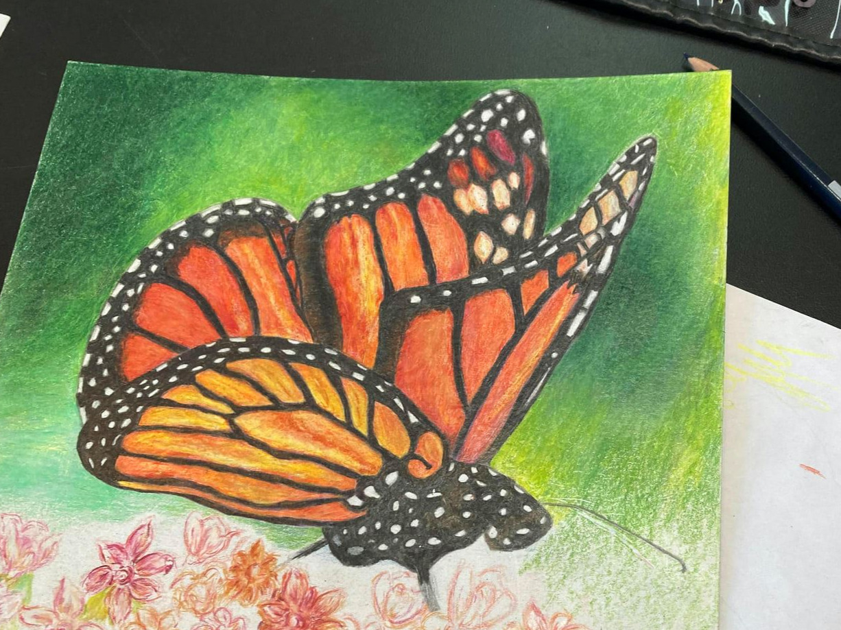 JULY-AUGUST: Crystal Lake - Art Classes (6-8 week sessions)