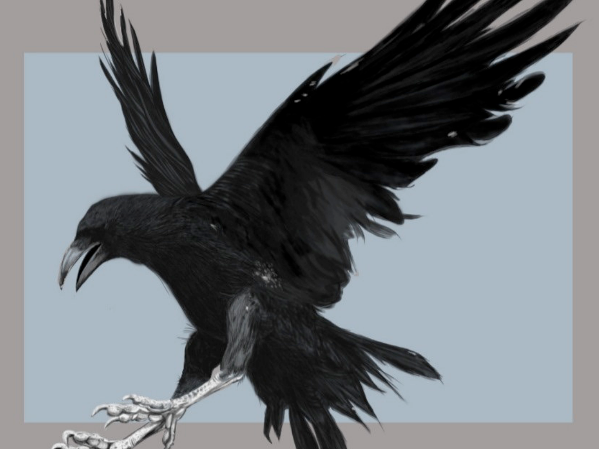 JULY-AUGUST: Crystal Lake - Art Classes (6-8 week sessions)