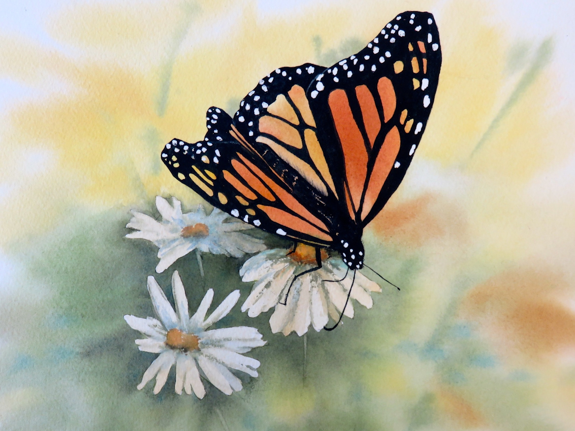 JULY-AUGUST: Woodstock Art Classes (6-8 week sessions)
