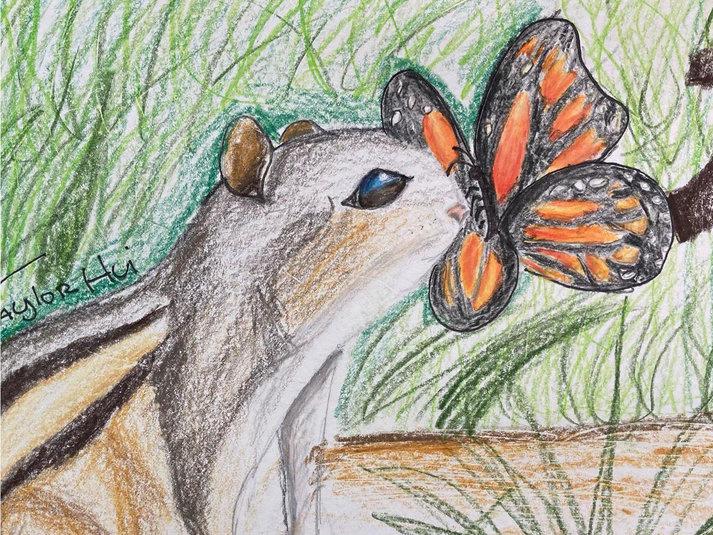 Ages 8+ weekly art classes