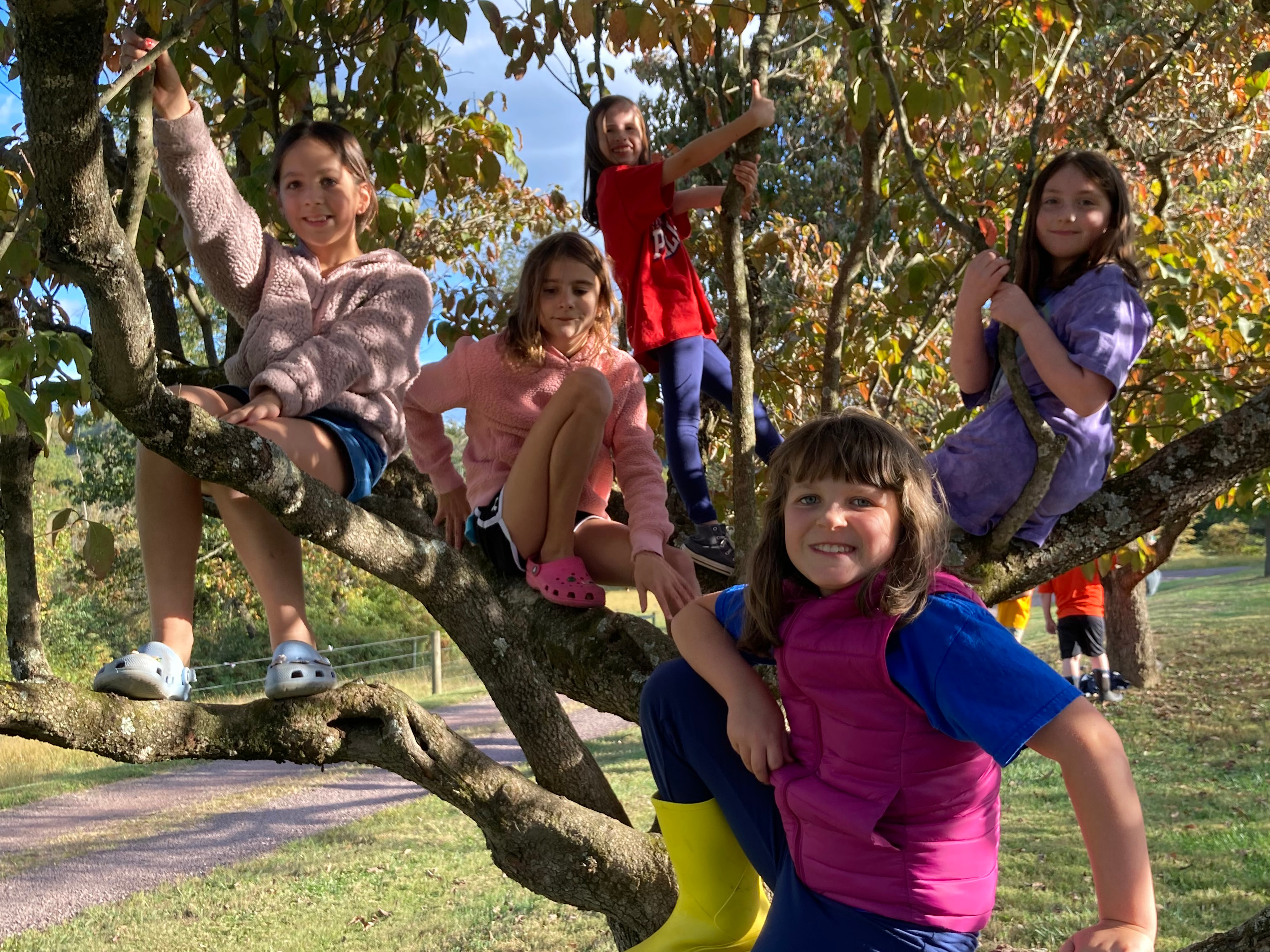 Afterschool Nature Clubs