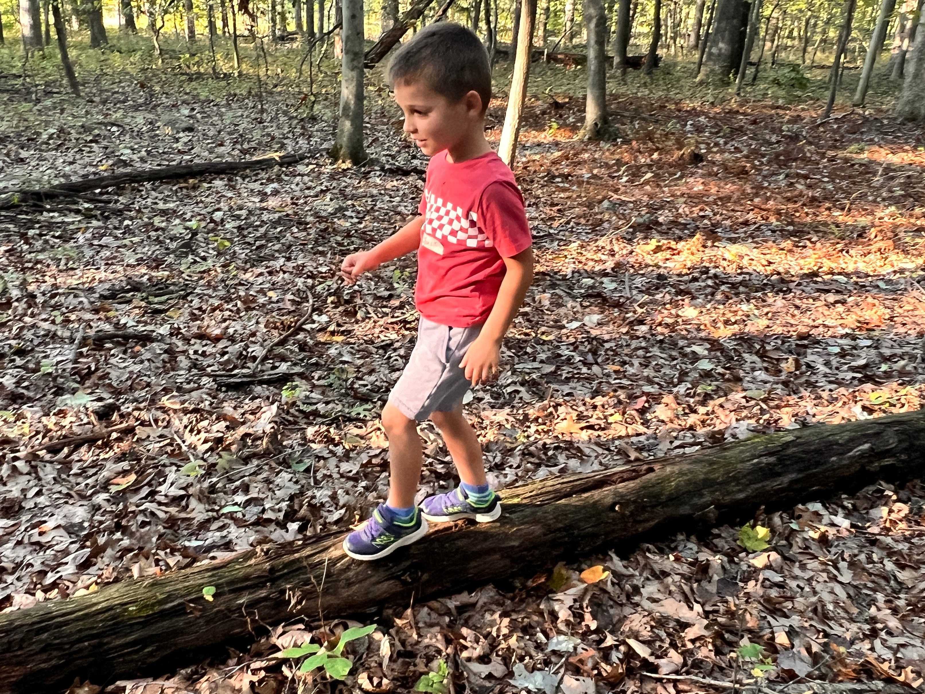 Afterschool Nature Clubs
