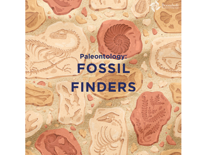 Fossil Finders