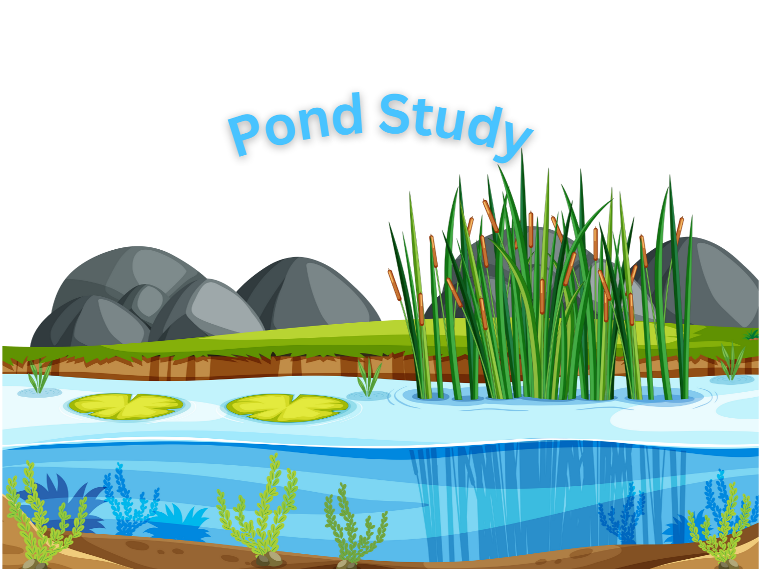 May 2025 Homeschool Programs: Pond Study