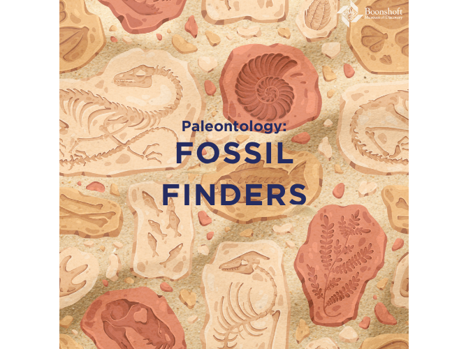 Fossil Finders