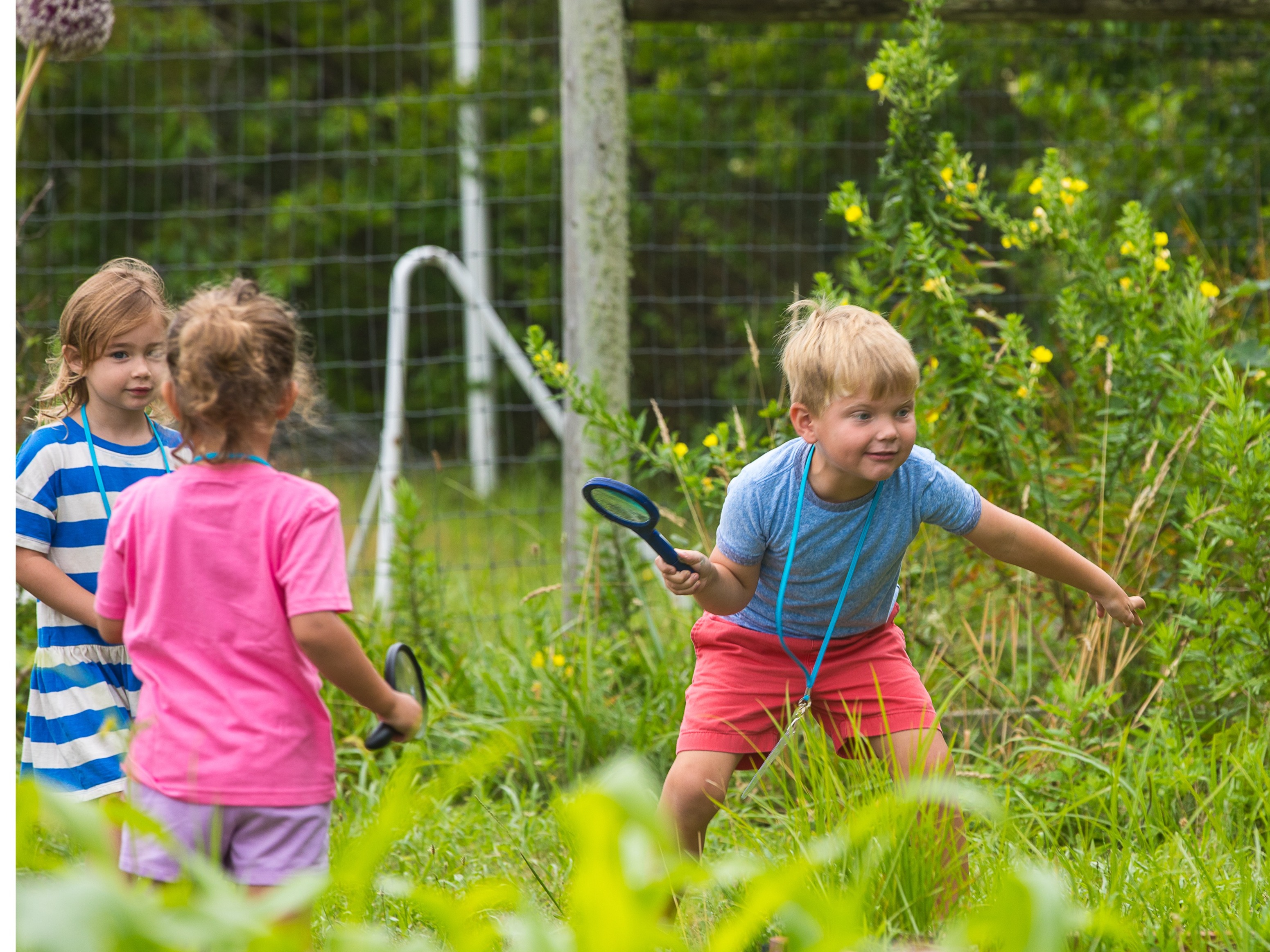 ACKventure Day Camps