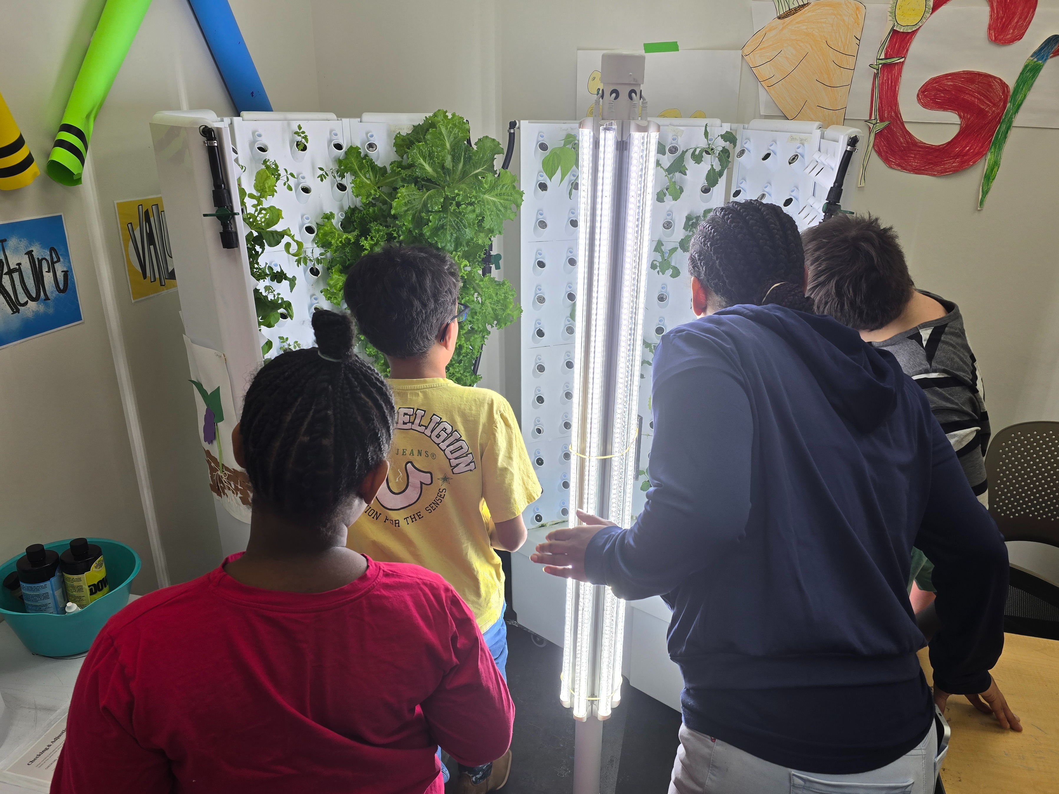 Visual Arts and Wellness Classes