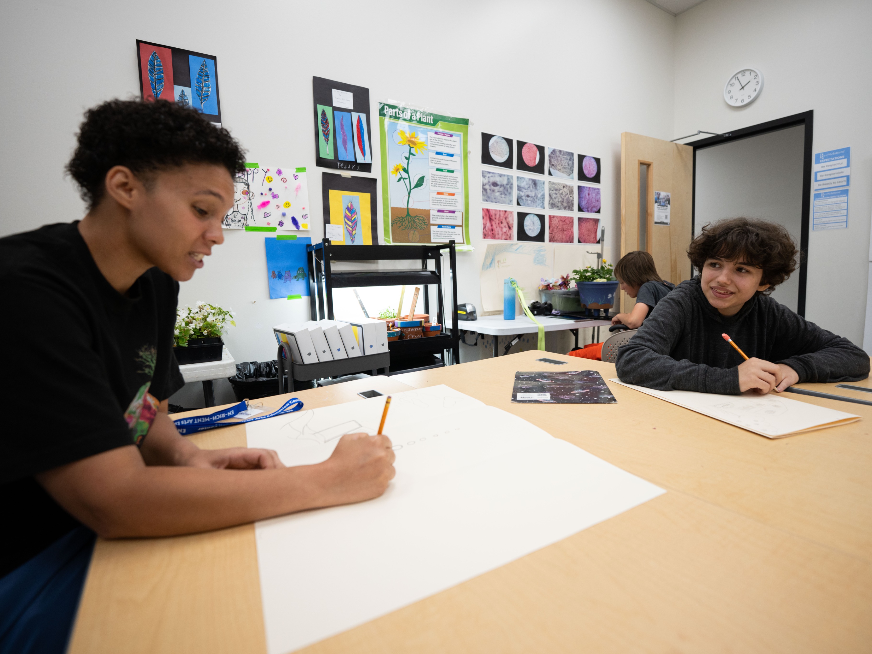 Visual Arts and Wellness Classes