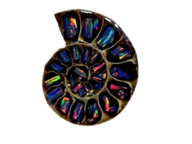 Opals