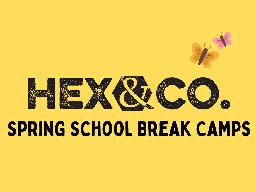 School Break Camps & School Pick Ups