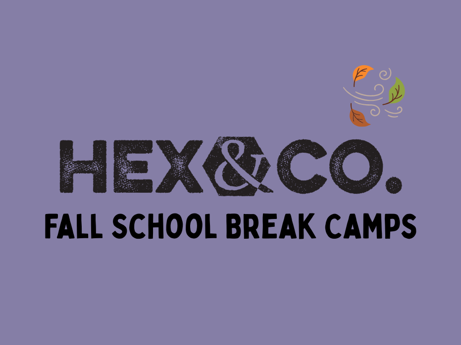 Fall 2026 | School Holiday Camps