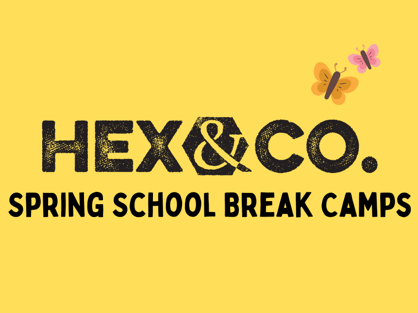 School Break Camps & School Pick Ups