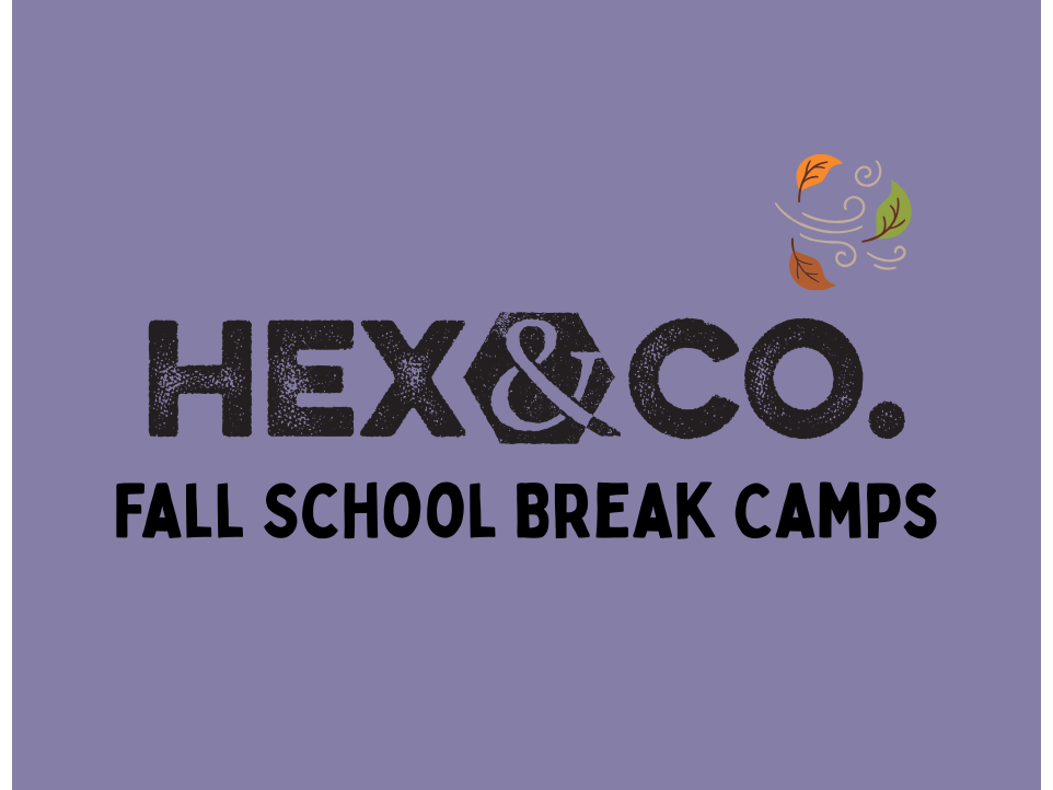 Fall 2026 | School Holiday Camps