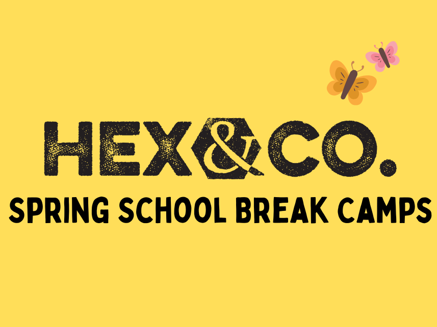 School Break Camps & School Pick Ups