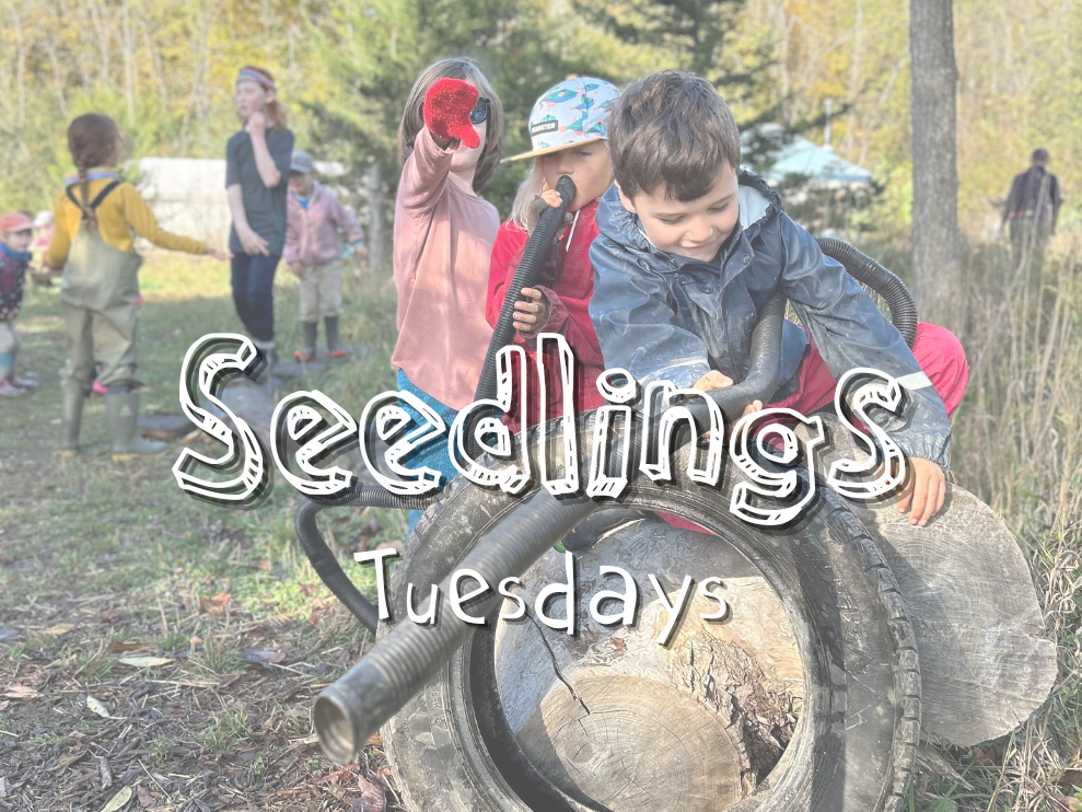 Fall 2025 – Seedlings & Saplings (school-age programs)