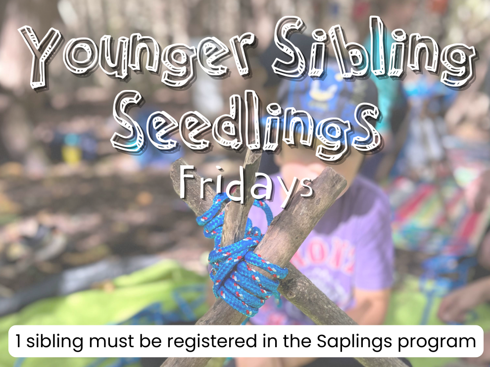 Fall 2025 – Seedlings & Saplings (school-age programs)