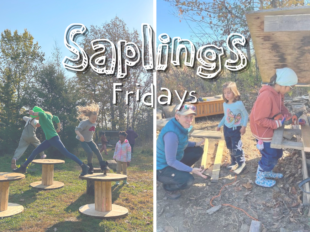 Fall 2025 – Seedlings & Saplings (school-age programs)