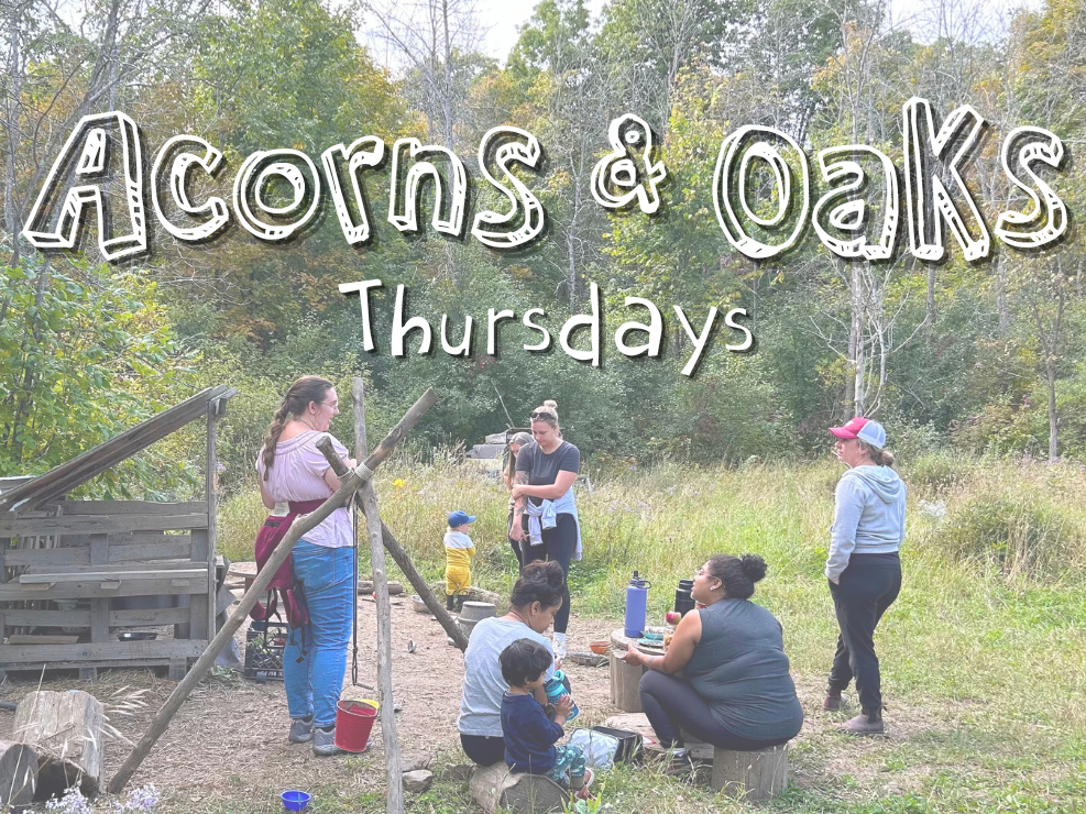 Fall 2025 – Acorns & Oaks (caregiver & child program)