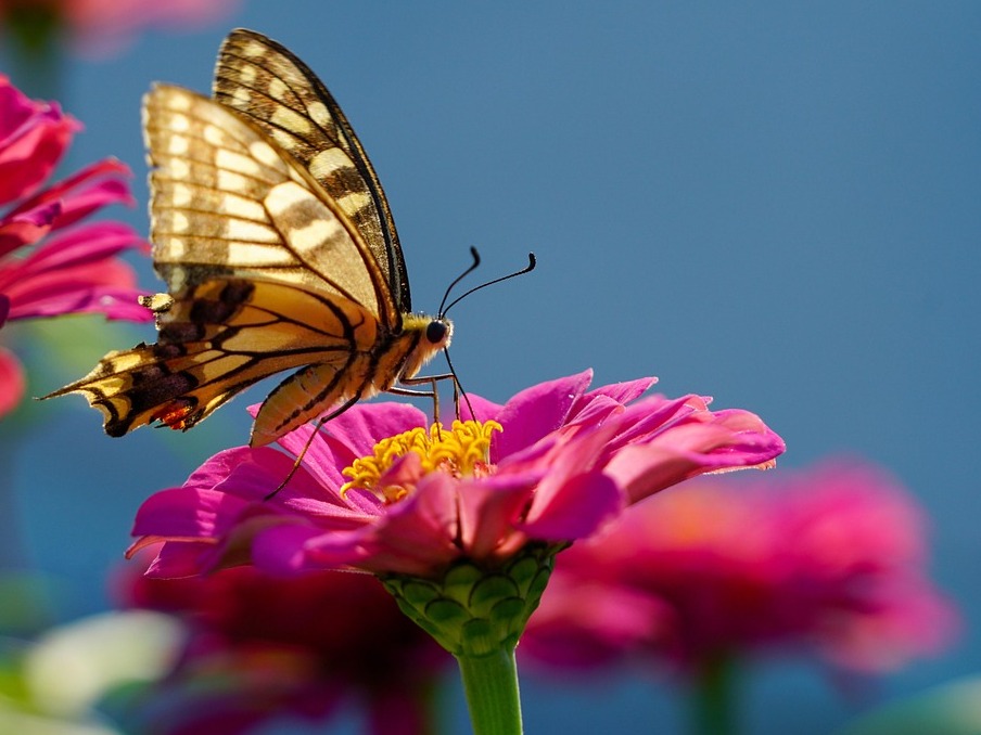 King of Kings Summer Camp - July 2026