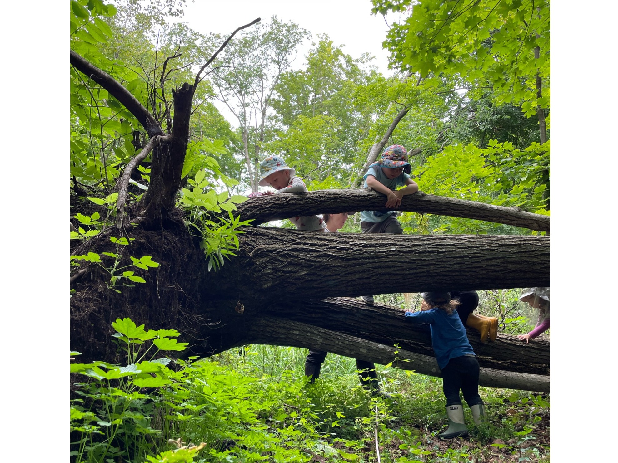 JULY 6 - AUG 28, 2026