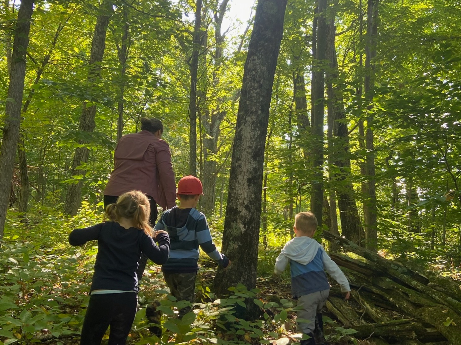 JULY 6 - AUG 28, 2026