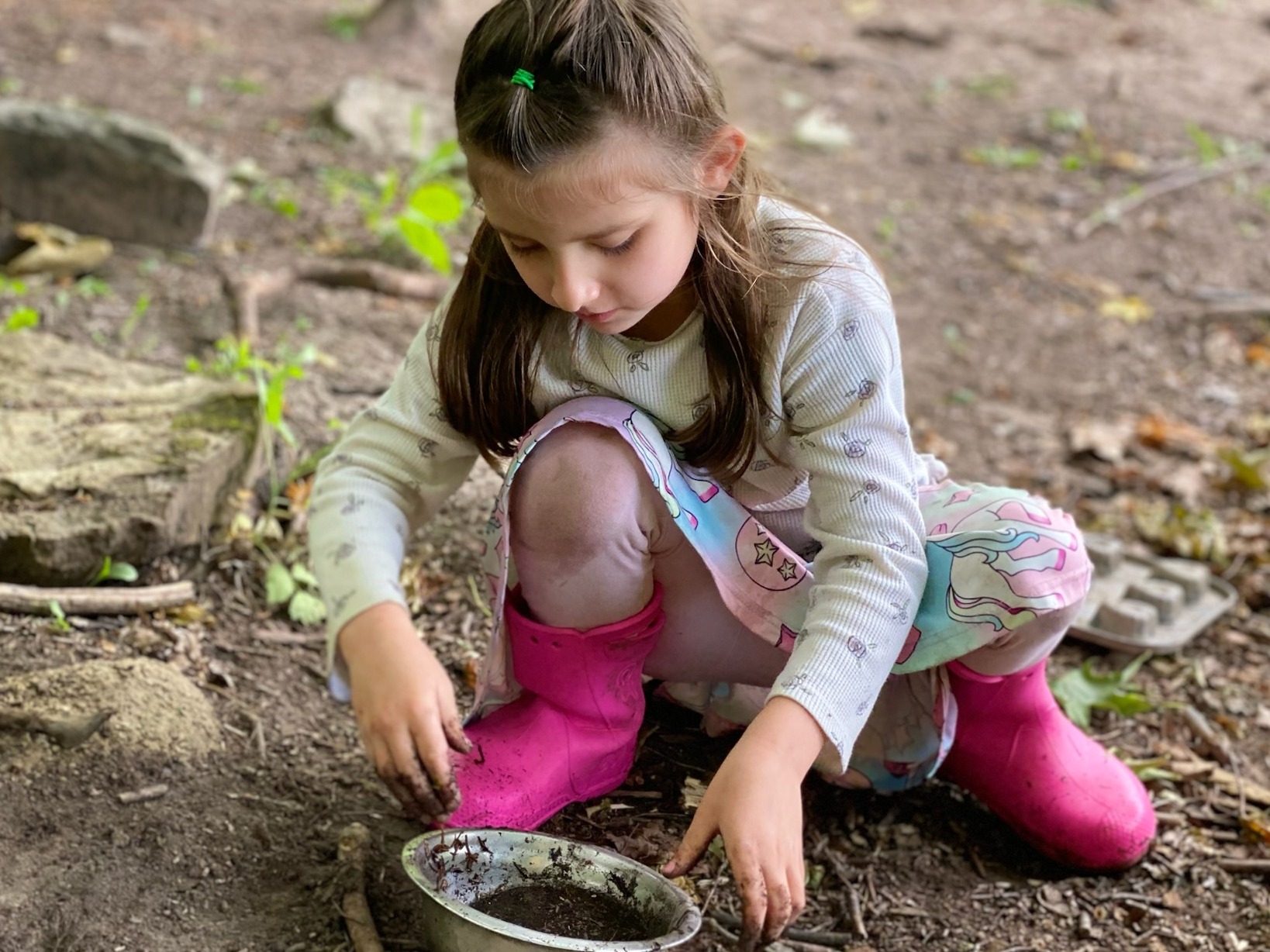 Fall Programs 2025 (September 15- December 19)