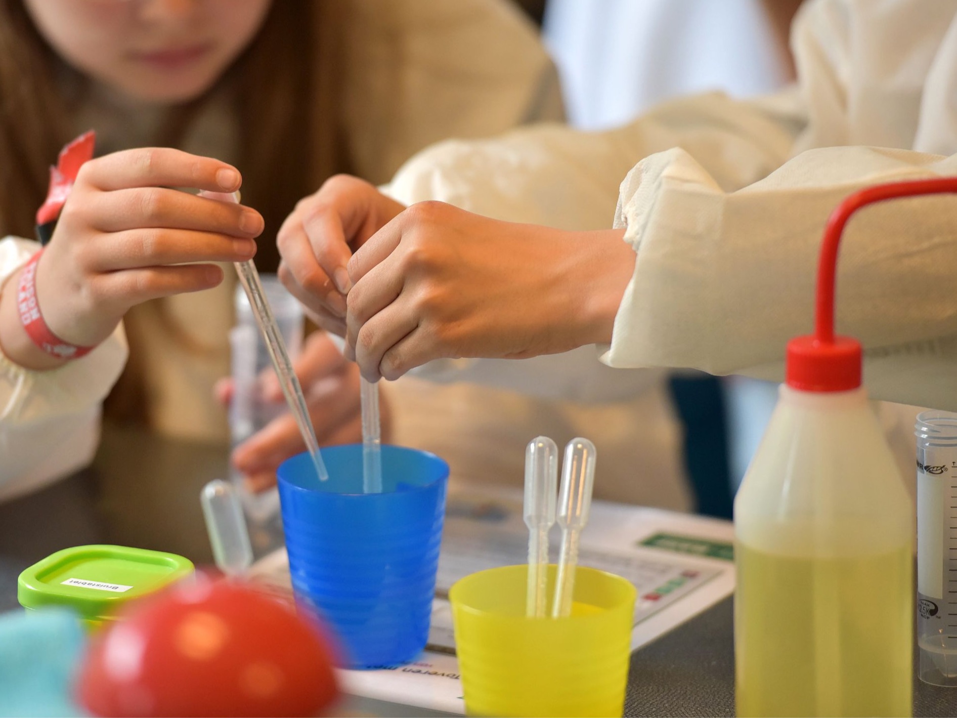 Preschool Programs (morning and afternoon options, drop-off)